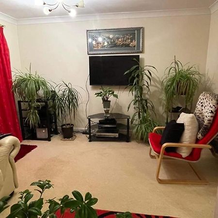 Cozy Homestay Croydon Buitenkant foto