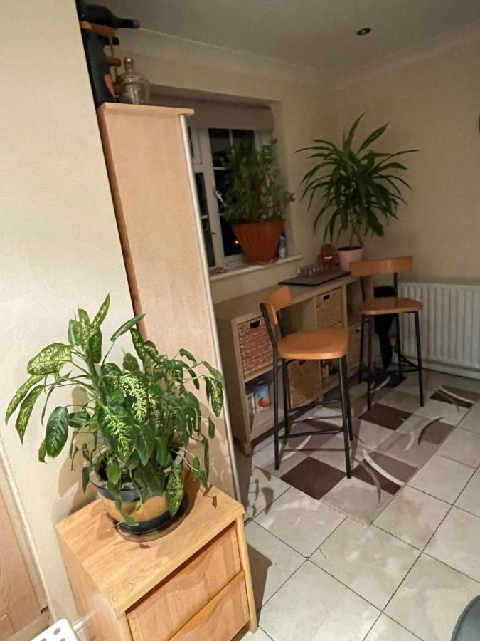 Cozy Homestay Croydon Buitenkant foto
