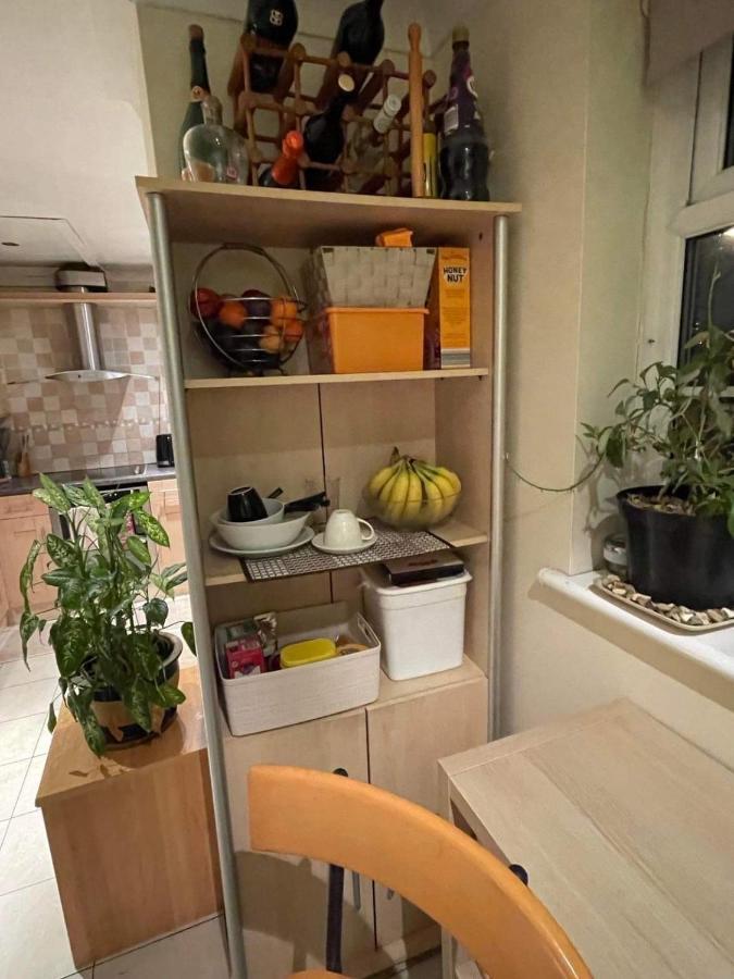 Cozy Homestay Croydon Buitenkant foto