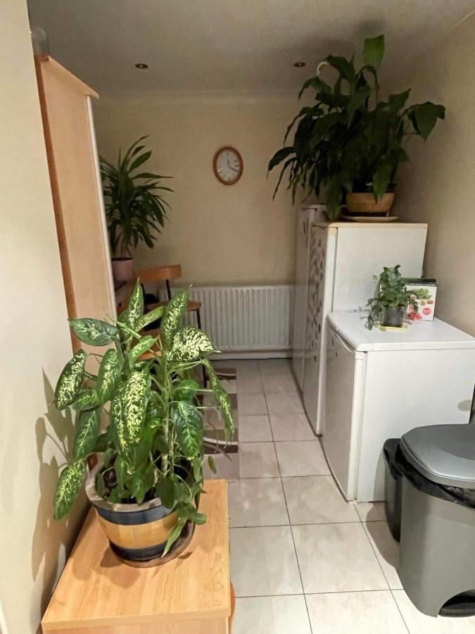 Cozy Homestay Croydon Buitenkant foto